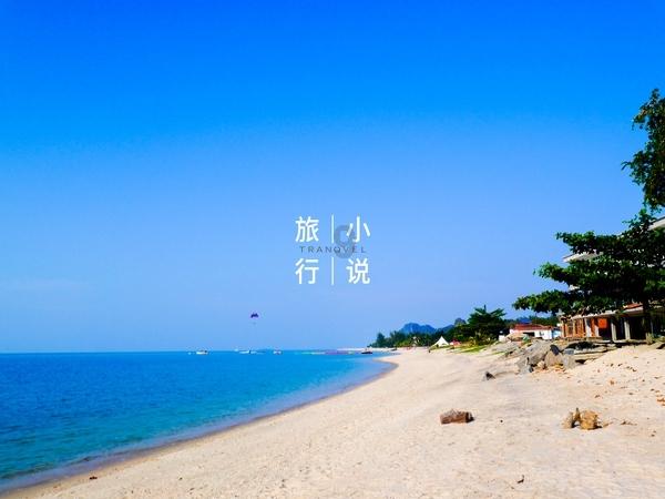 杀入奥斯卡前三热门！跻身历史最佳圣诞电影，这部小片为何能声势大爆？
